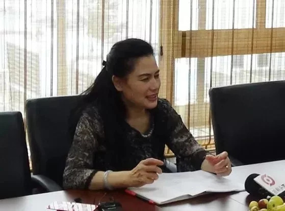 三替集團(tuán)董事長陶曉鶯.jpg 三替集團(tuán)董事長陶曉鶯.jpg